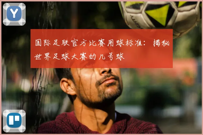 国际足联官方比赛用球标准：揭秘世界足球大赛的几号球