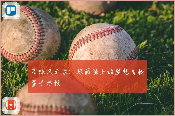 足球风云录:绿茵场上的梦想与较量手抄报